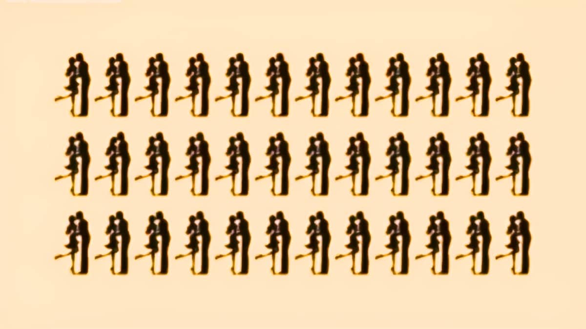 Seek and Find Puzzle: Can you spot the odd couple in 5 seconds?