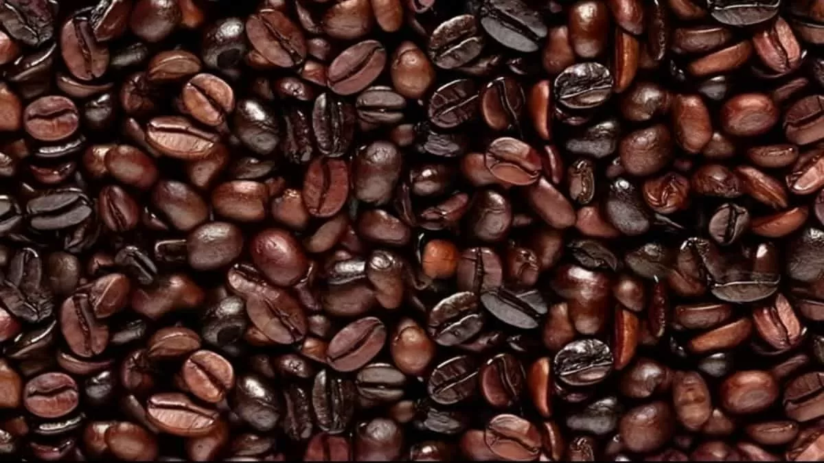 Find Hidden Face in 8 Seconds