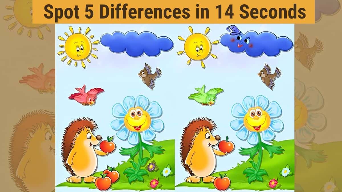 Spot the Difference: Only 10% of people can spot 5 differences between the two images in 14 seconds. Are you one of them?