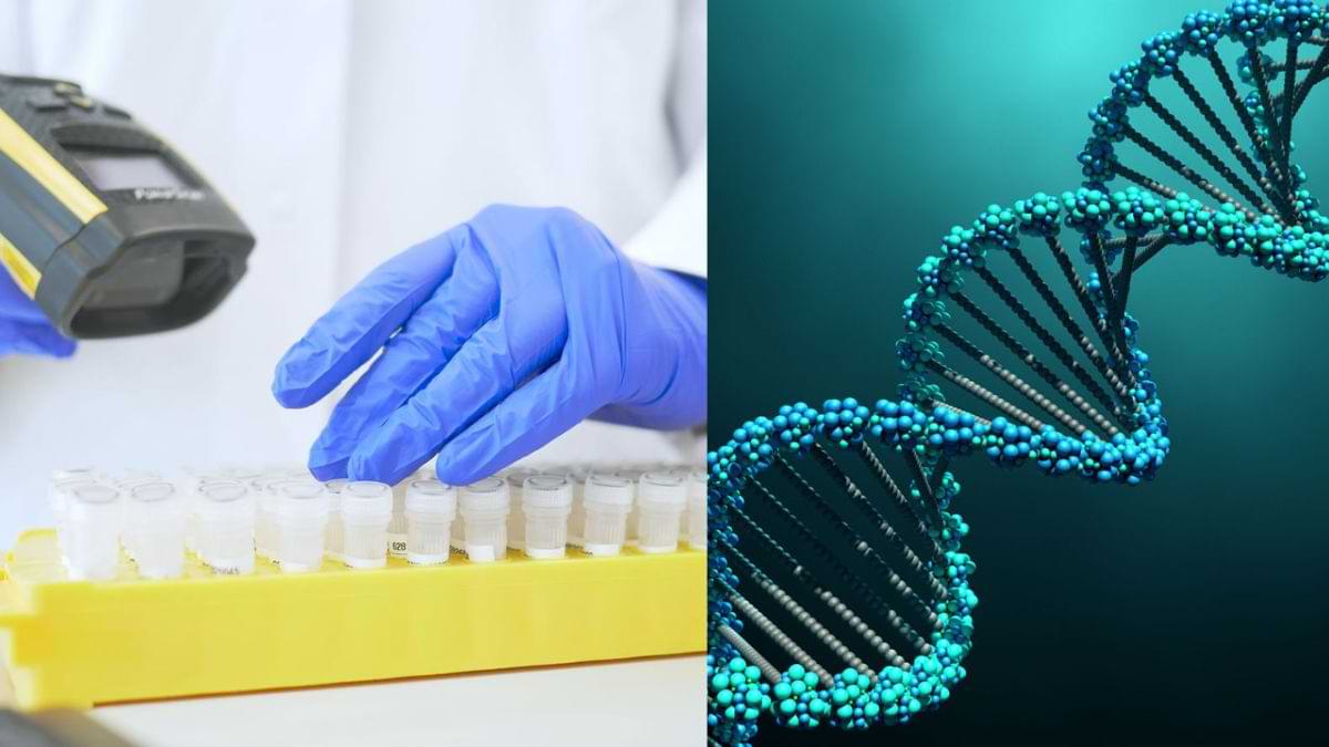 अज्ञात शवों की पहचान के लिए DNA डेटाबेस बनाने वाला ‘पहला राज्य’ बना हिमाचल, देखें डिटेल्स