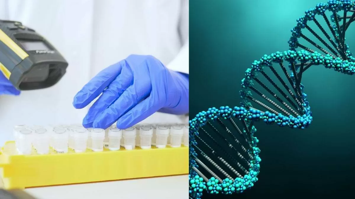 अज्ञात शवों की पहचान के लिए DNA डेटाबेस बनाने वाला ‘पहला राज्य’ बना हिमाचल