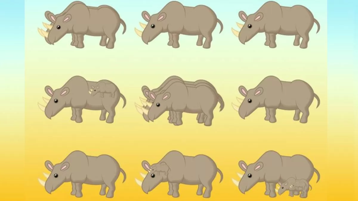 Test Your Observation Skills