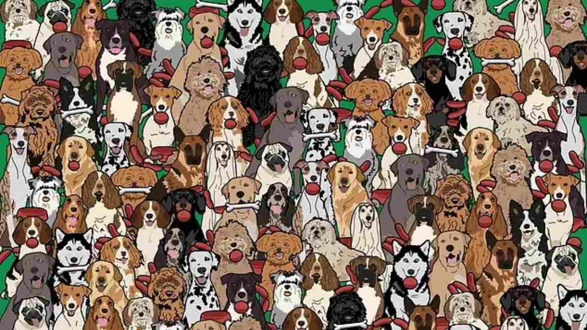 Optical Illusion for Testing Your IQ: Only 1% can spot the Dog with ...