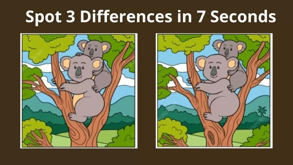 Spot 3 Differences in 7 Seconds