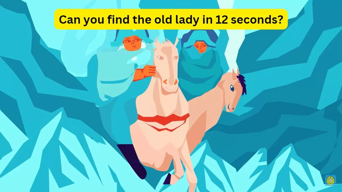 Optical Illusion Challenge: Spot the old woman in 12 seconds   