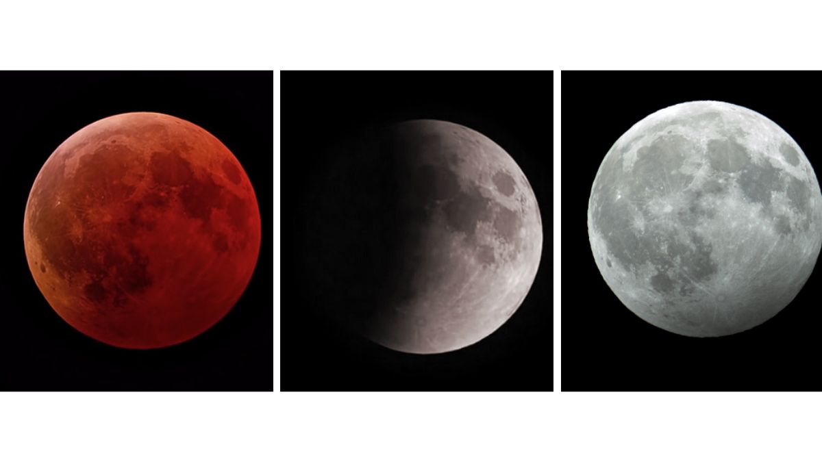 All types of Lunar Eclipses
