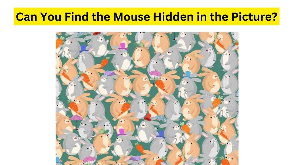 Brain Teaser For Fun: You just have 30 seconds to find the Fat Mouse hidden among Rabbits. Try Your Luck!