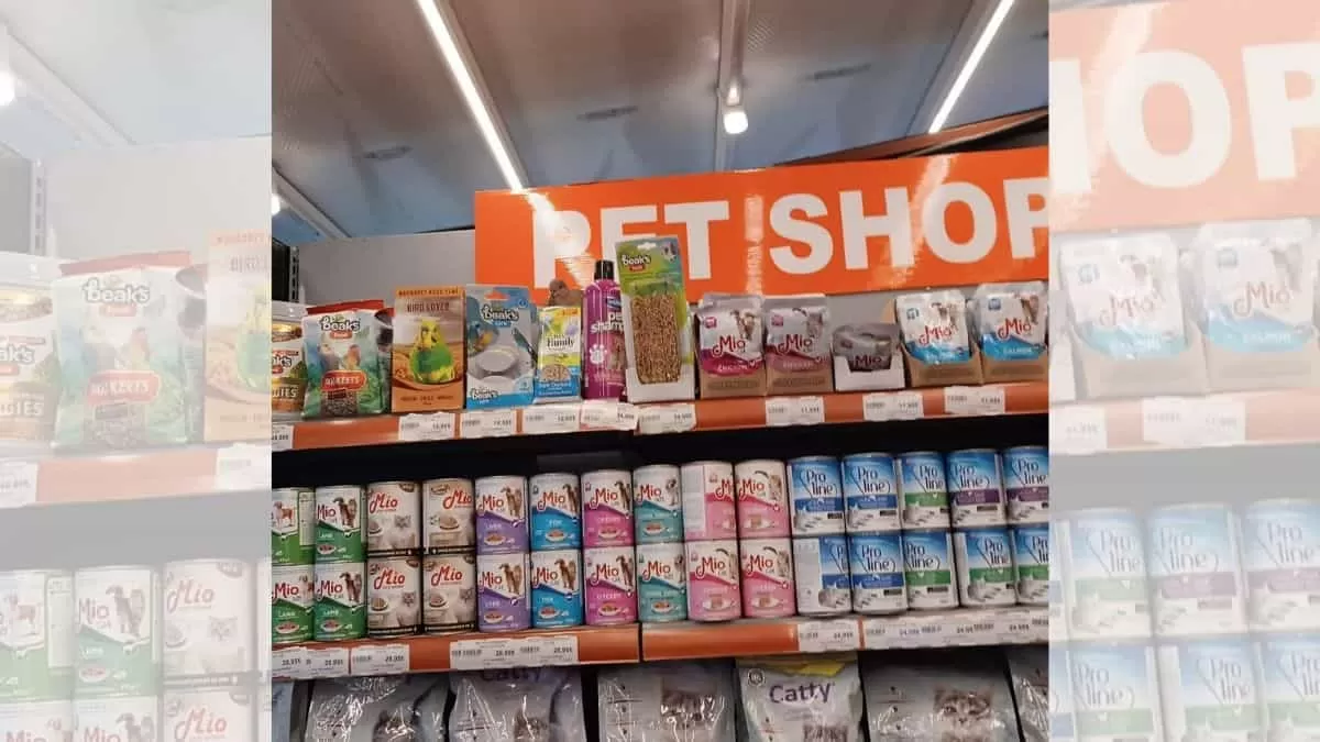 Find Bird in Store in 6 Seconds