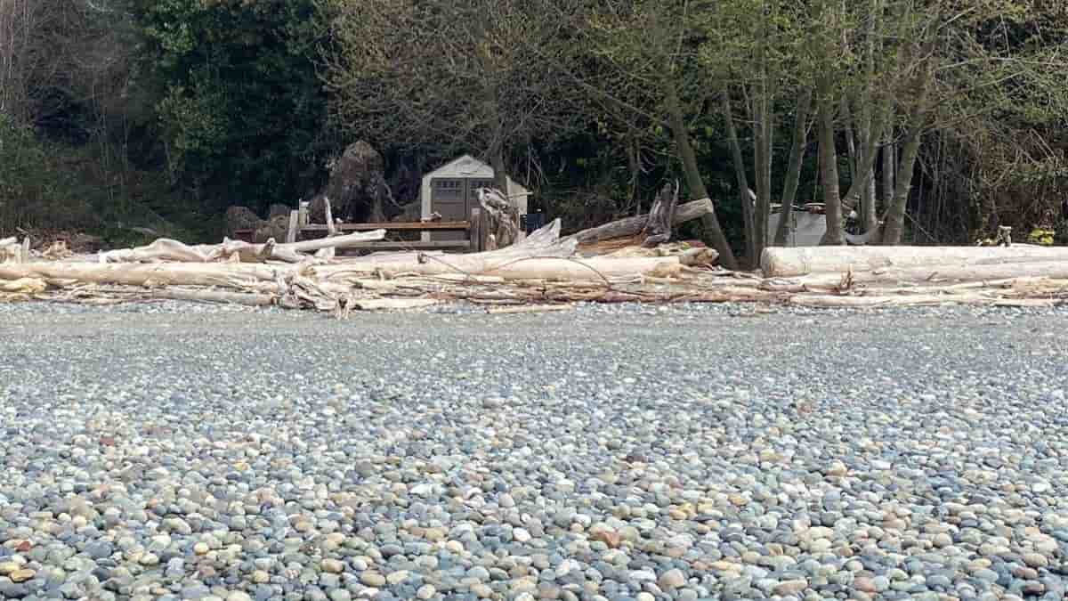 Optical Illusion: Only the sharpest eyes can spot a dog on the beach in 9 seconds!