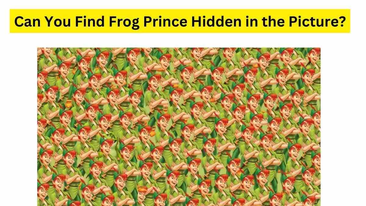 Optical Illusion Challenge We Dare You To Find Frog Prince Hidden In