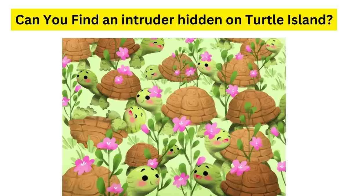 Do you see an intruder here/