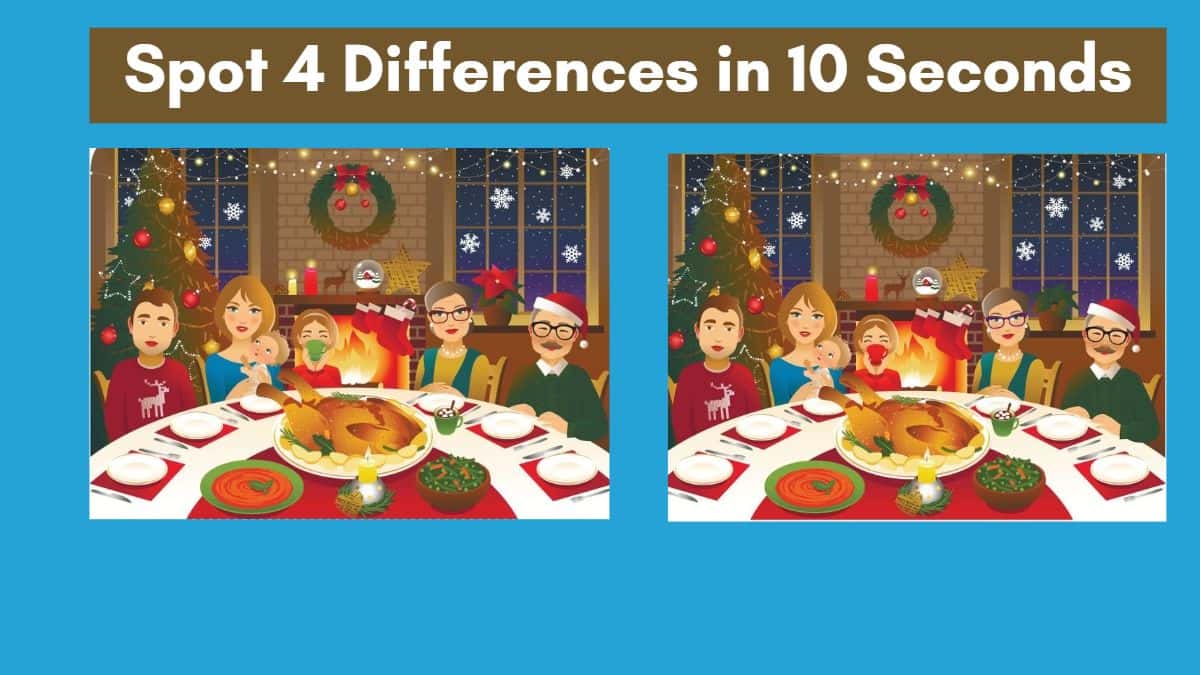 Spot 4 Differences in 10 Seconds