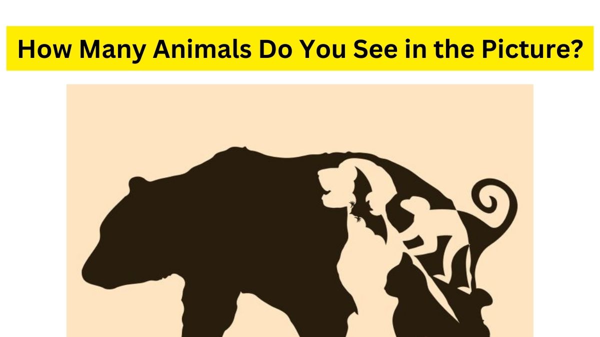 animal optical illusion pictures