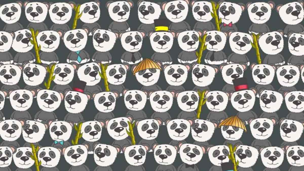 Optical Illusion for Testing Your IQ: Can you spot a Polar Bear hidden among the Pandas in 11 Secs?