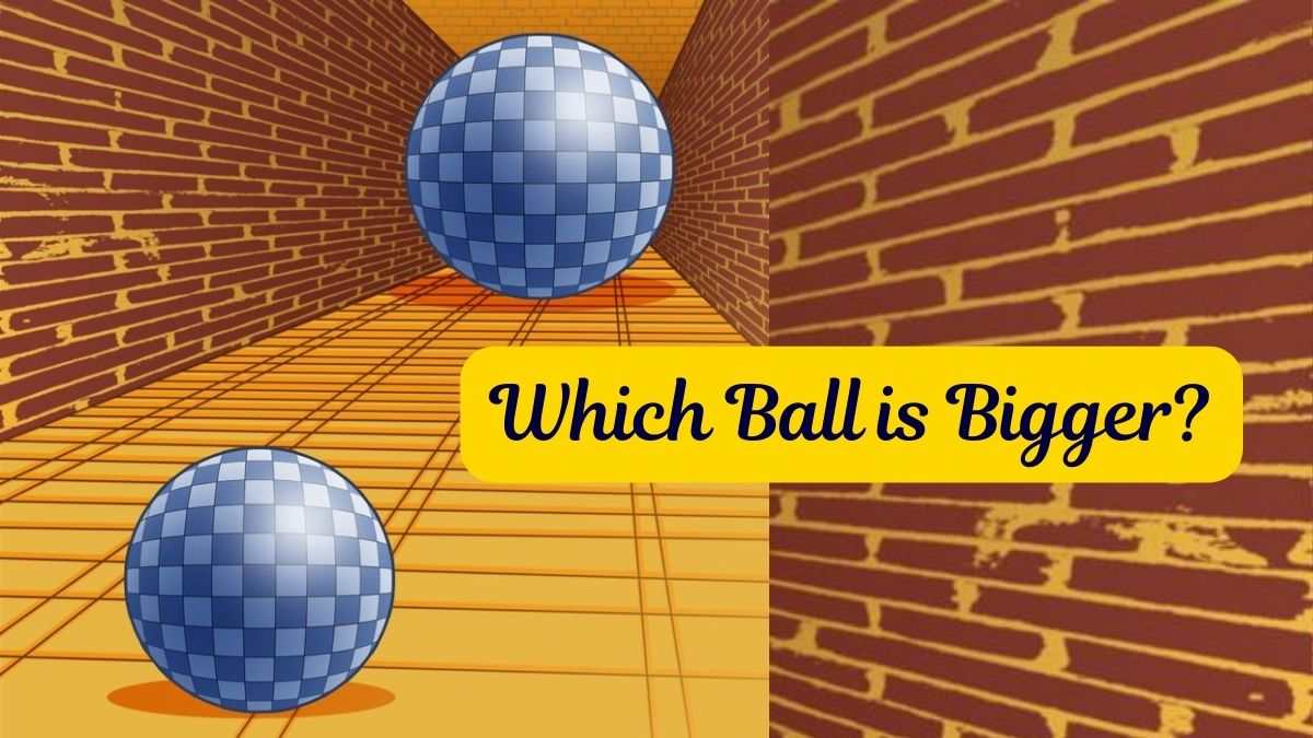 Optical Illusion for Testing Your Personality: Which Ball is Bigger? Know Your Leadership Traits based on the Answer!