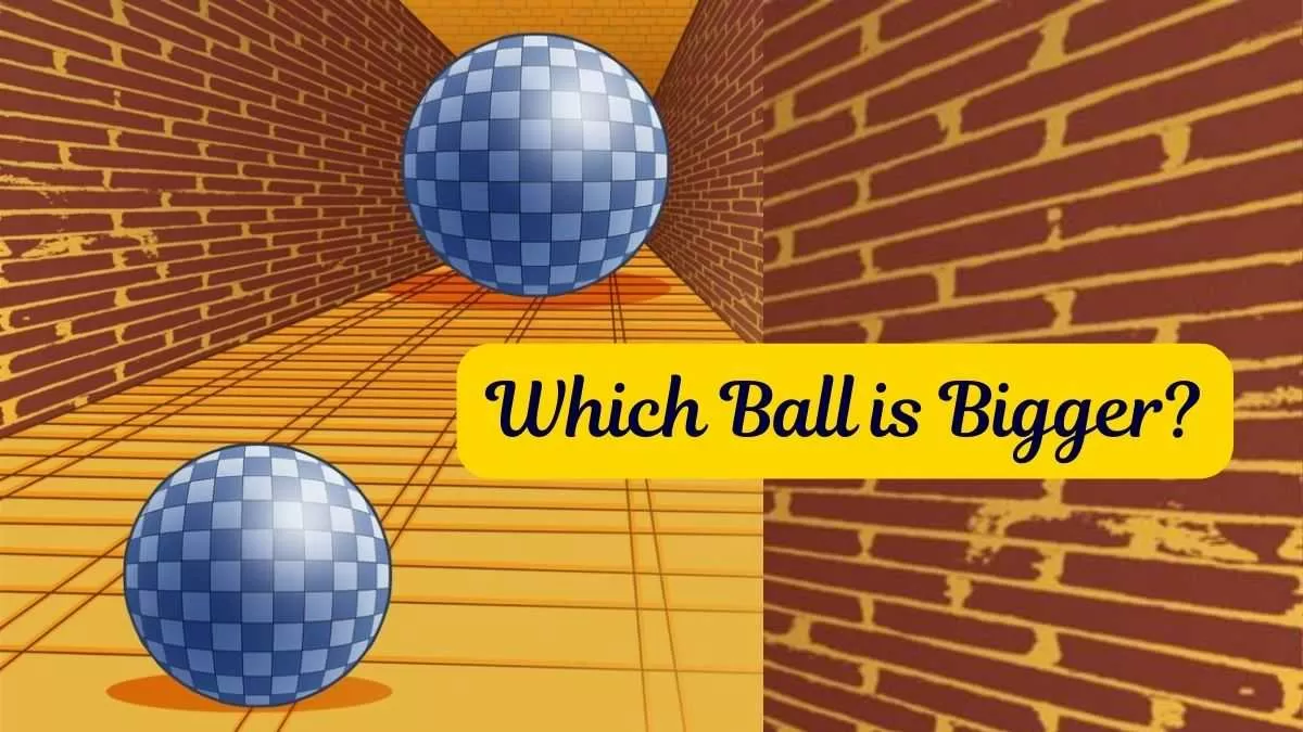 Optical Illusion for Testing Your Personality