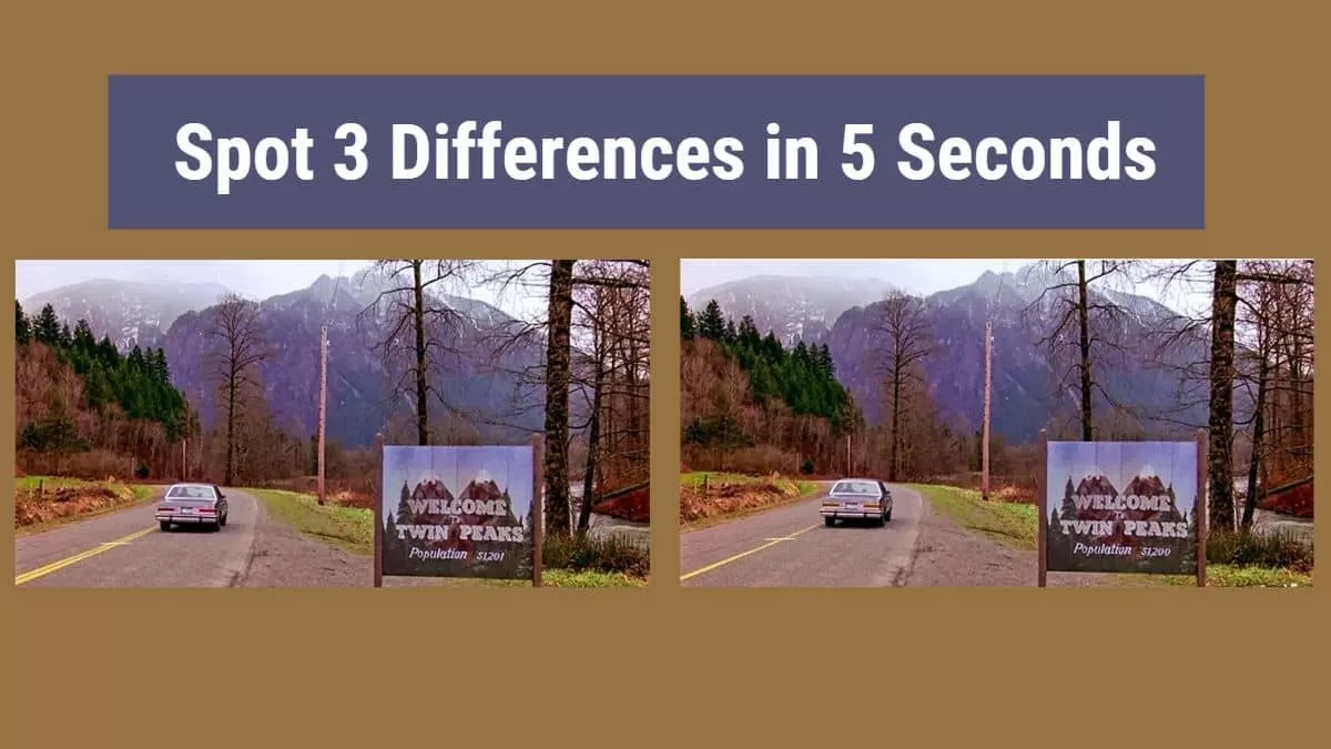 Spot 3 Differences in 5 Seconds