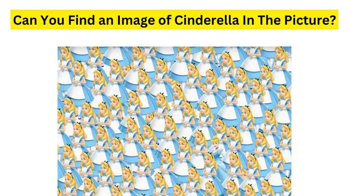 Brain Teaser For IQ Test: Cinderella in Wonderland! Can You Spot ...