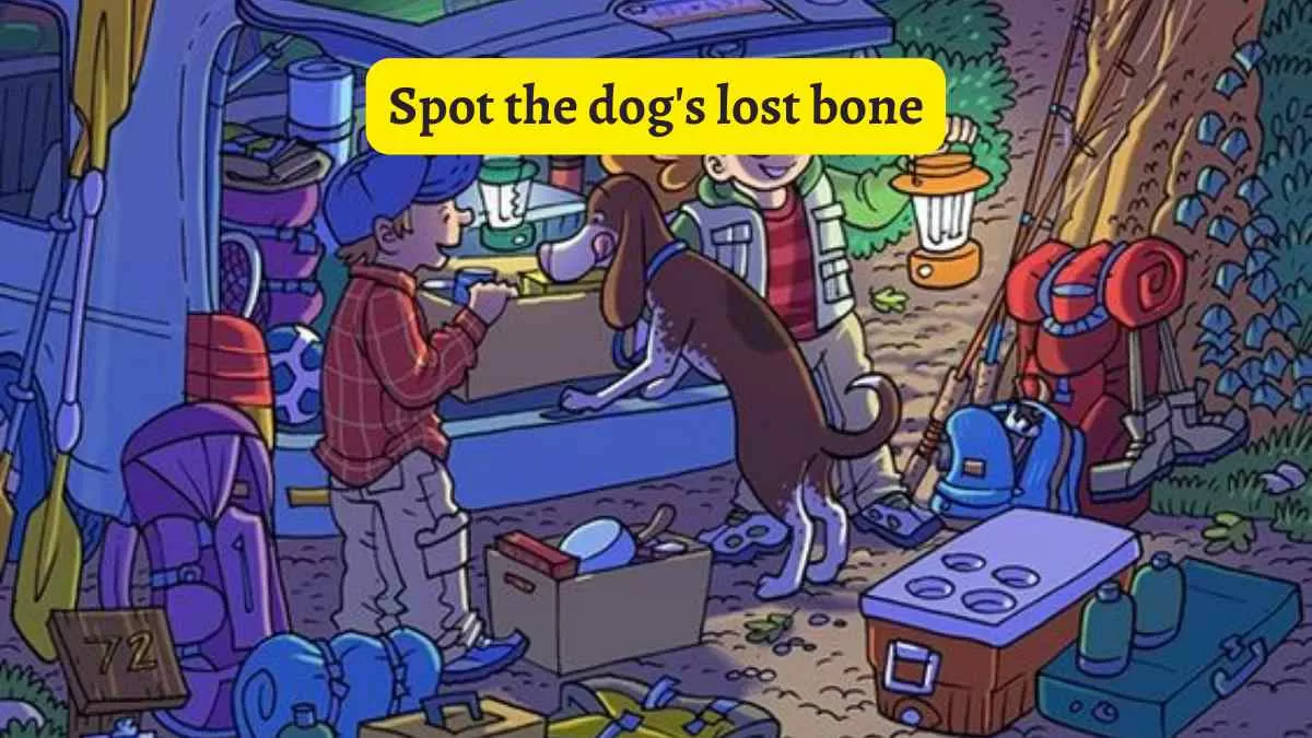 Brain Teaser Challenge: Spot the dog’s lost bone in 6 seconds!