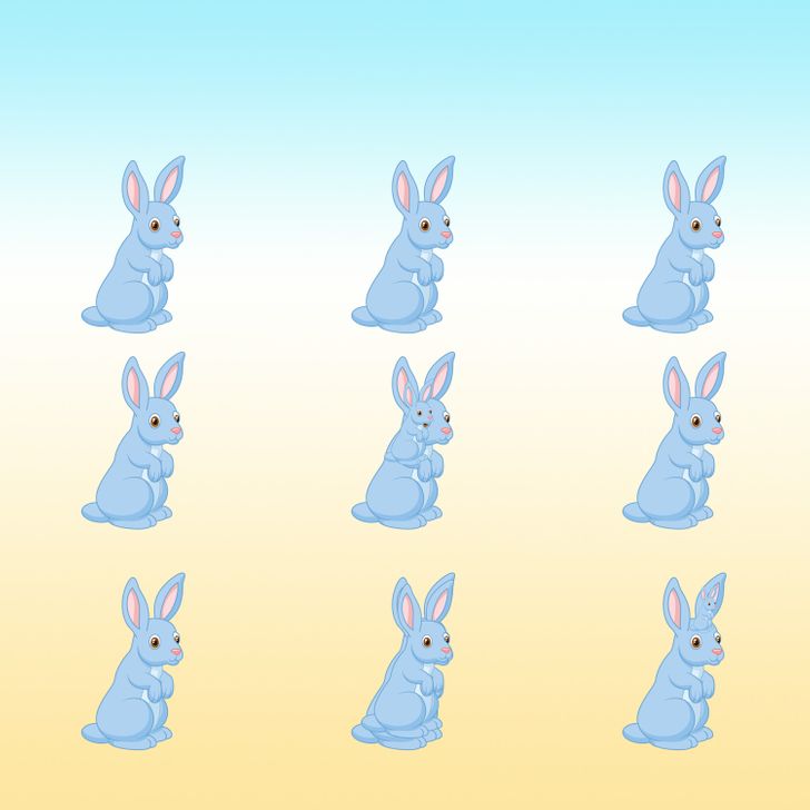 لغز عدد الأرانب لاختبار مستوى الذكاء