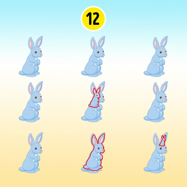 اختبر ذكائك واكتشف عدد الأرانب الحقيقي في الصورة