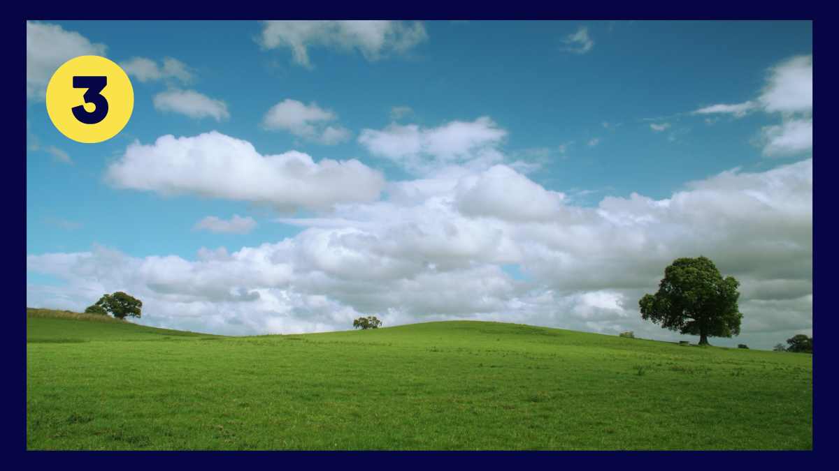 Landscape Personality Test #3: Field