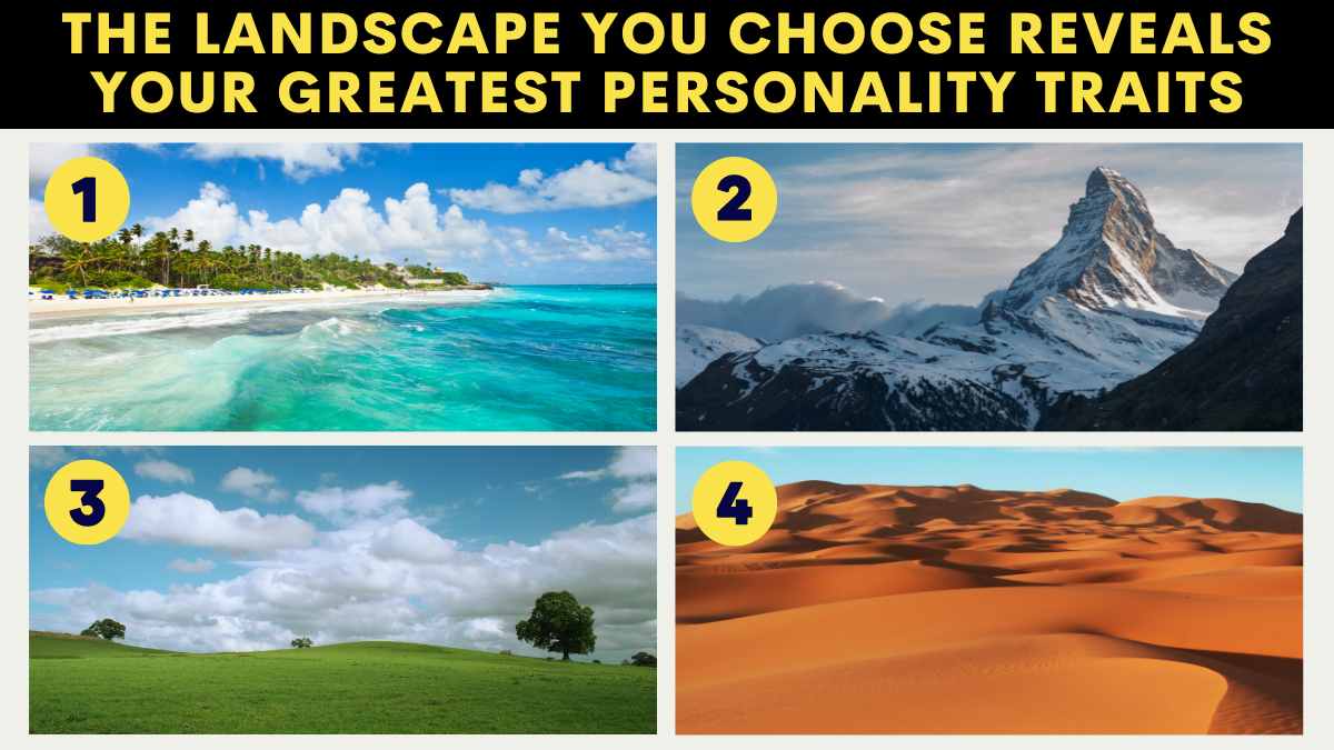 The Panorama You Select Reveals Your Best Persona Traits