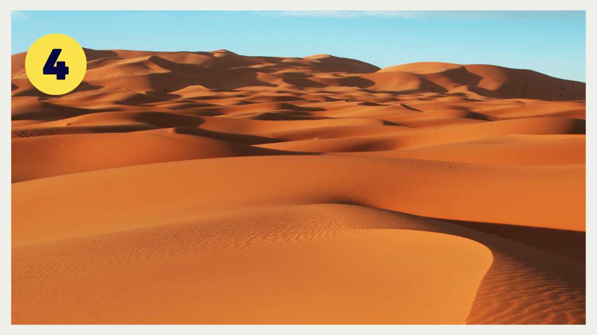 Landscape Personality Test #4: Desert