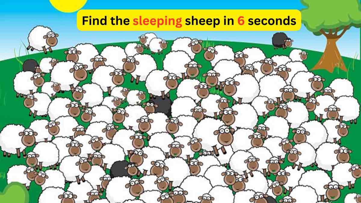 Only someone with a detective’s brain can spot the sleeping sheep in the herd in 6 seconds.