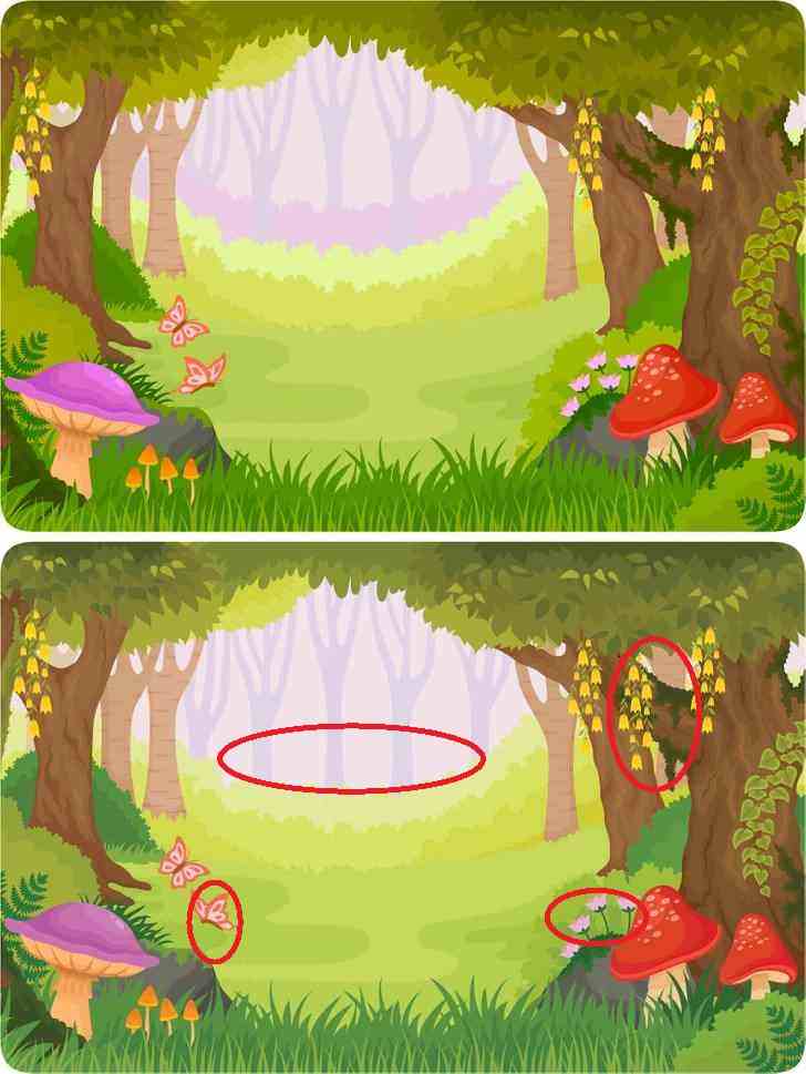 Can you spot 4 differences in 13 seconds?