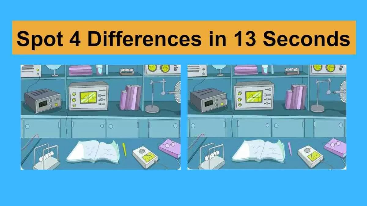 Spot 4 differences in 13 seconds