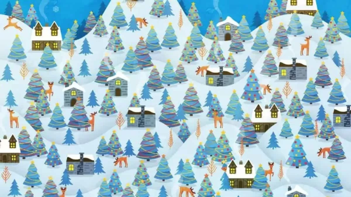 Find Hidden Elf in 8 Seconds