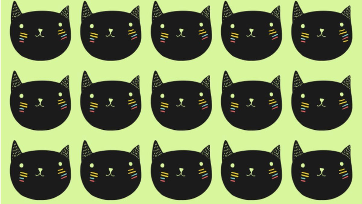 Brain Teaser for Testing Your IQ: Can you spot the odd cat in picture within 9 secs?
