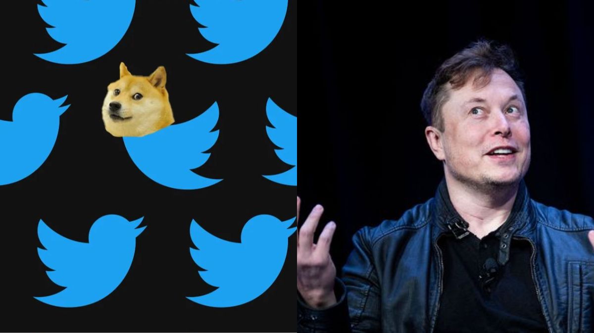 Elon Musk changed Twitter blue bird logo to the 'Doge' meme