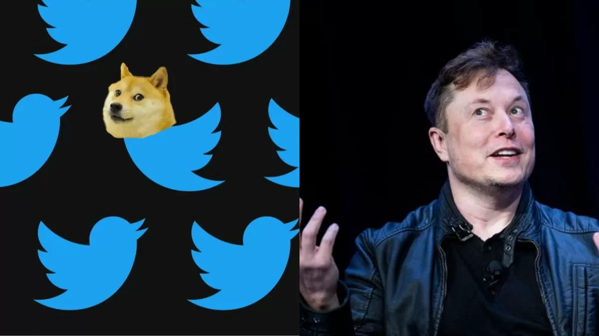 Elon Musk Replaced Blue Bird Logo With Doge Meme On Web Twitter, Users ...