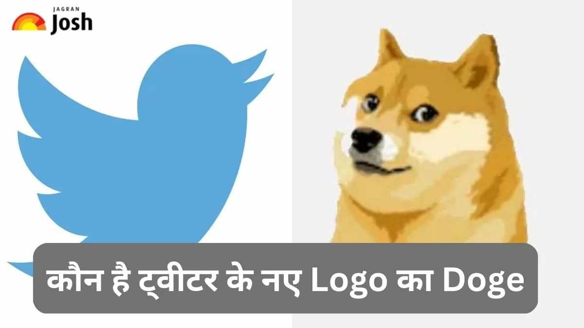 Twitter New Logo जानें कौन है ट्वीटर के Logo में नजर आने वाला Doge