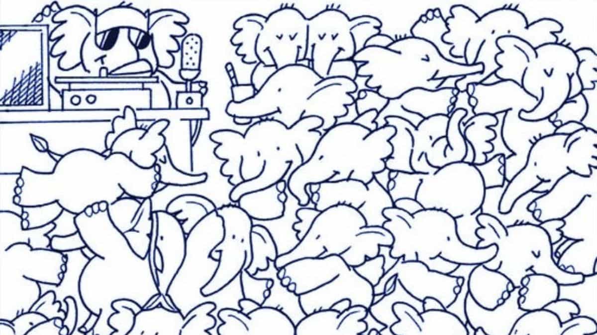 Seek and Find Puzzle: Can you find a whale among the elephants in 5 seconds?