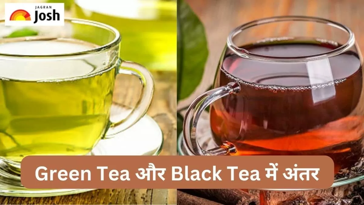 ग्रीन टी और ब्लैक टी में अंतर