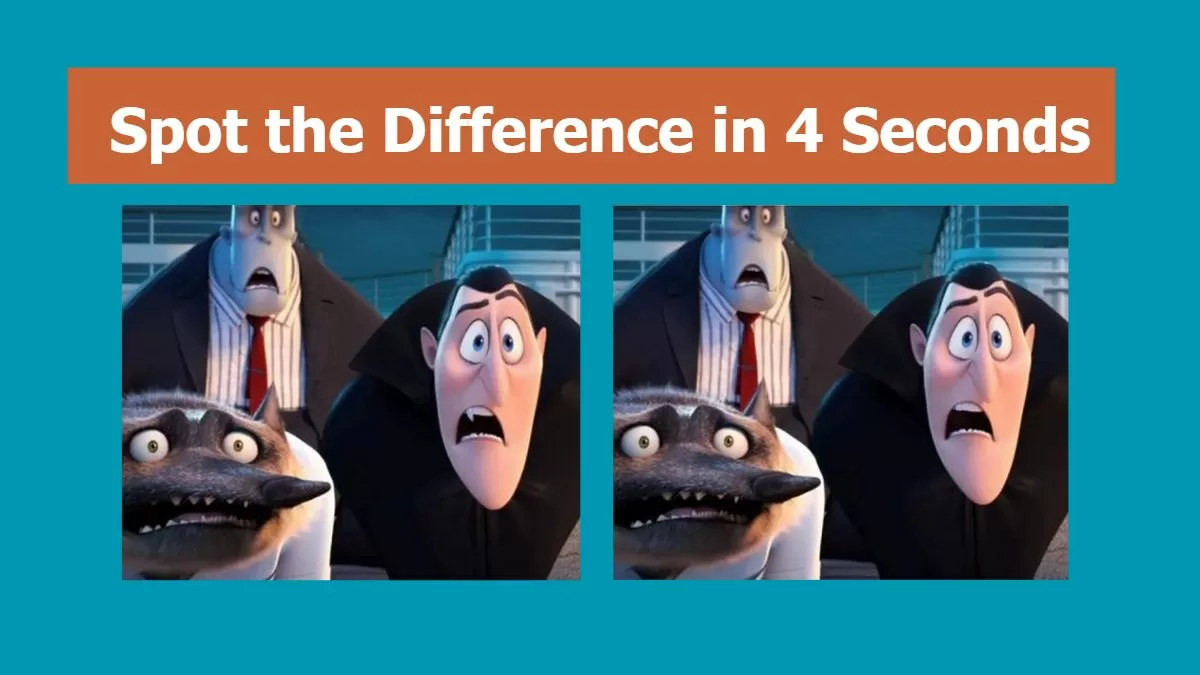 Spot the difference in 4 seconds