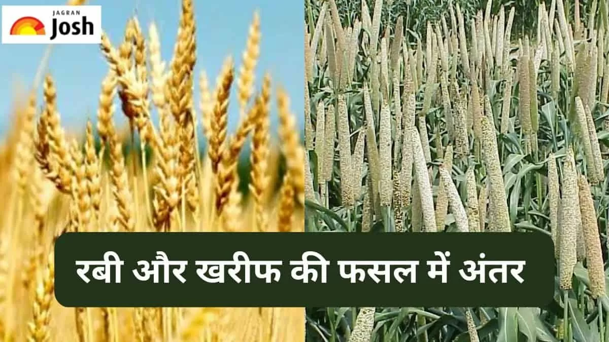 रबी और खरीफ की फसल