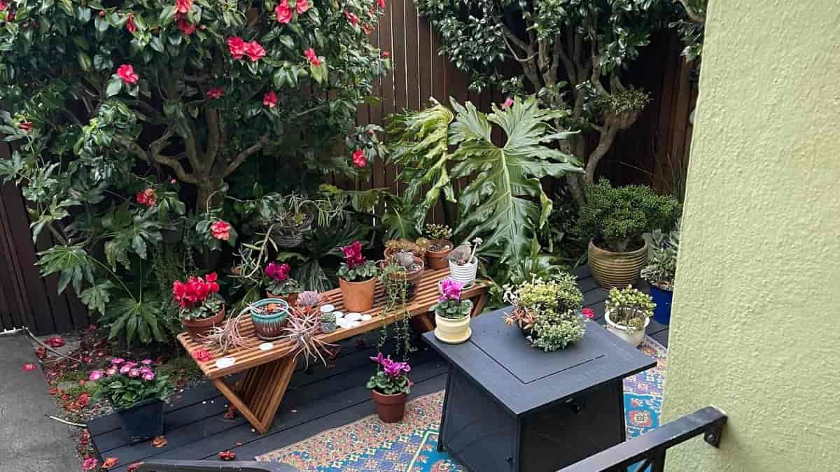 Optical Illusion: You are a genius if you can spot two doves in the garden in 4 seconds!