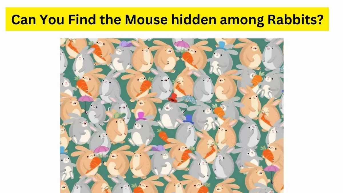 Do you see a mouse among the cute bunnies?