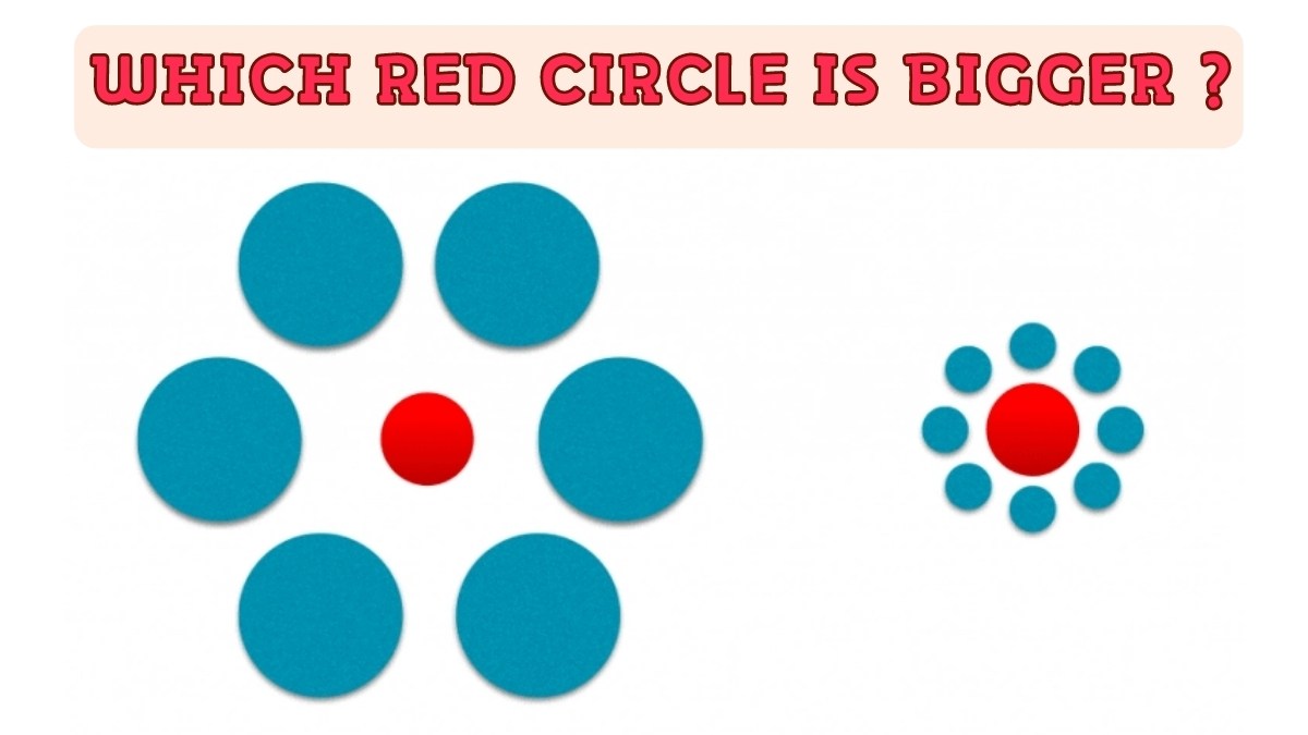 Optical Illusion for IQ Test Only a True Genius Can Guess Which Red