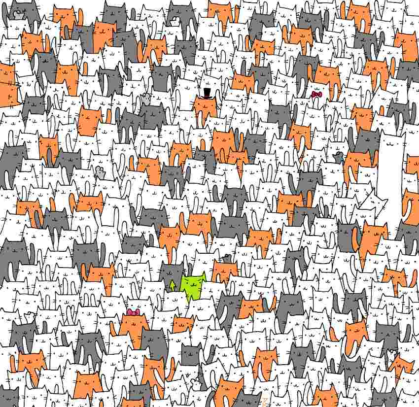 Can You Find The Hidden Bunny Among the Cats In 11 Seconds?