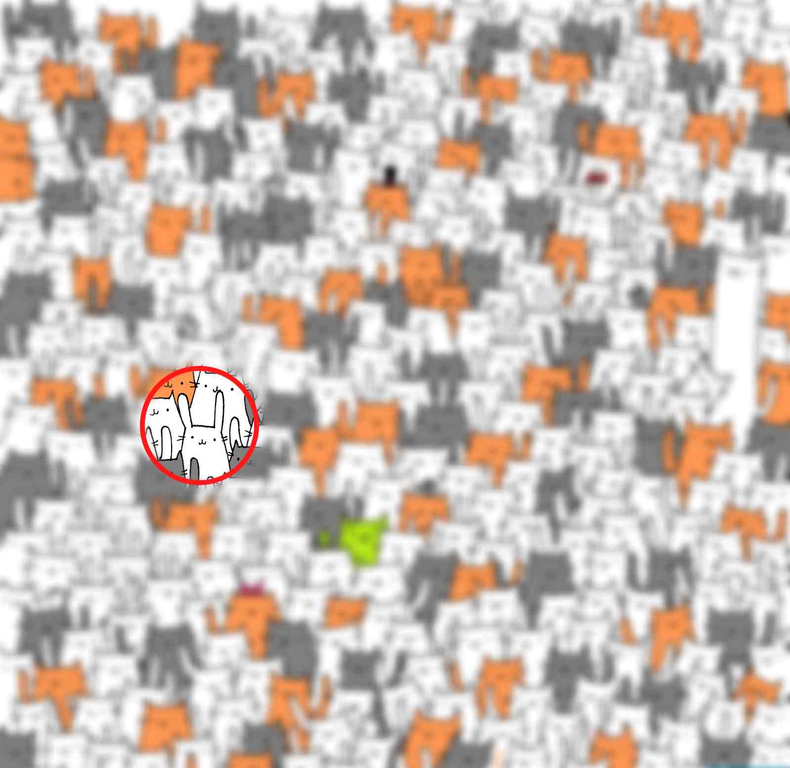 Brain Teaser Challenge Find The Hidden Bunny Solution