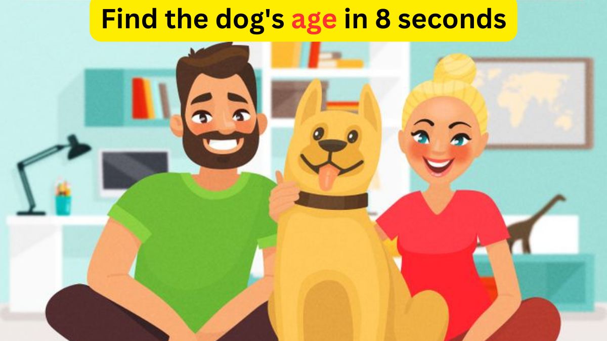 Brain Teaser: This test is for smart people. Only they can find the dog’s age in 8 seconds. Can you?