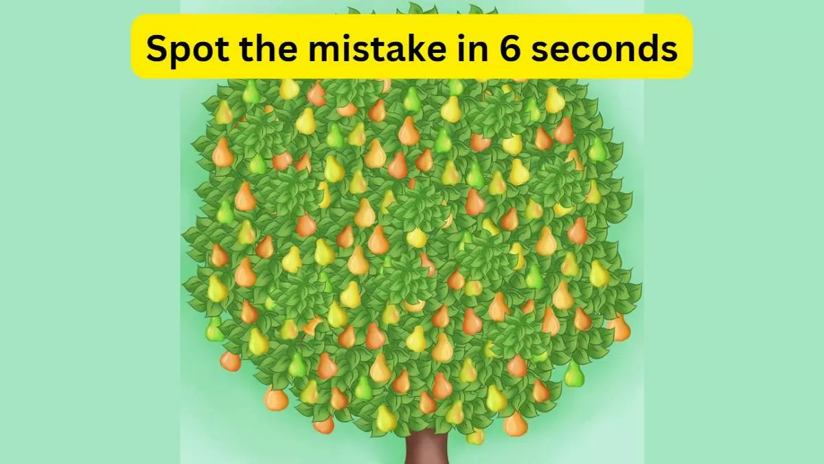 Brain Teaser Iq Test Only The Smartest Can Spot The Mistake In The