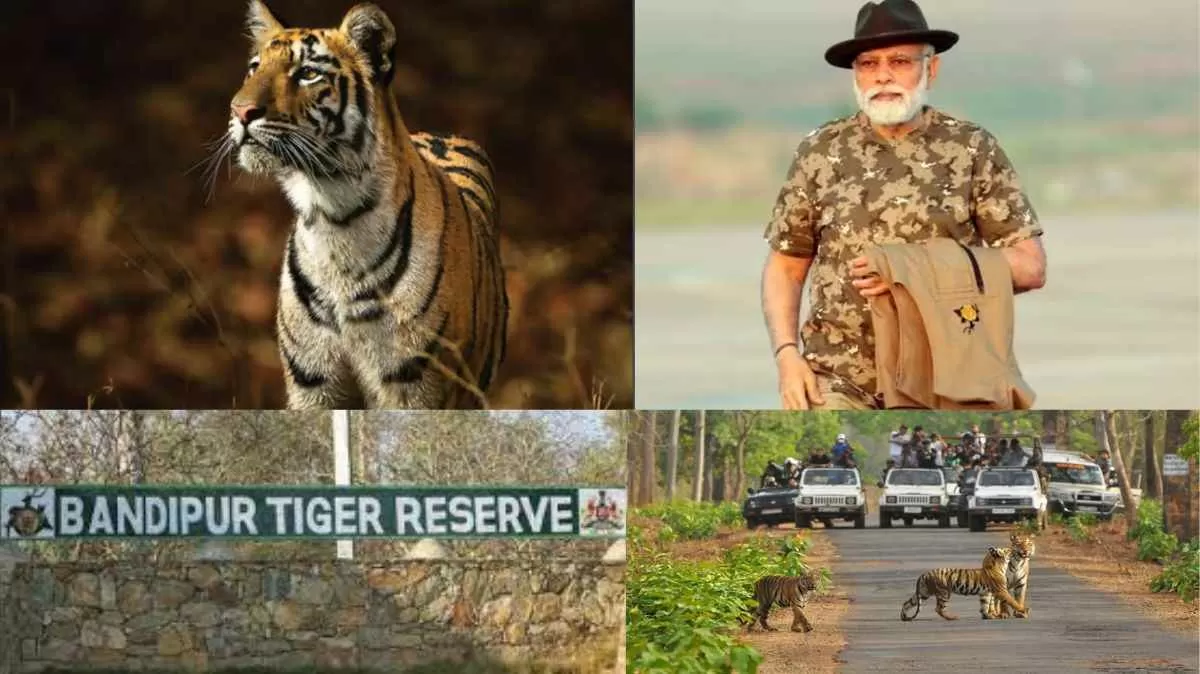 MONRE proposes tiger conservation program
