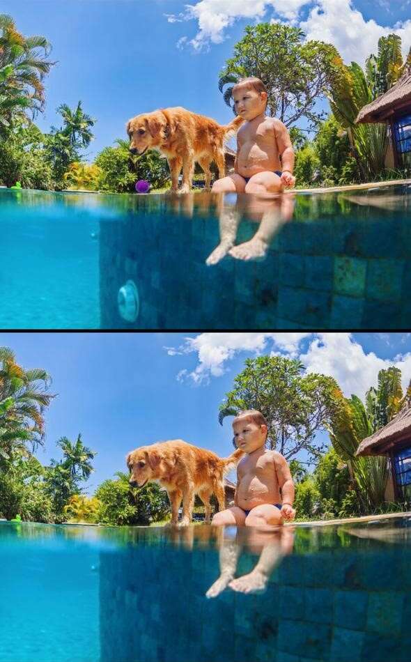 Spot The Difference: Spot 5 Differences in 11 Seconds