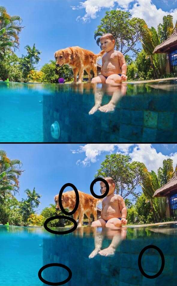 Spot The Difference: Spot 5 Differences in 11 Seconds